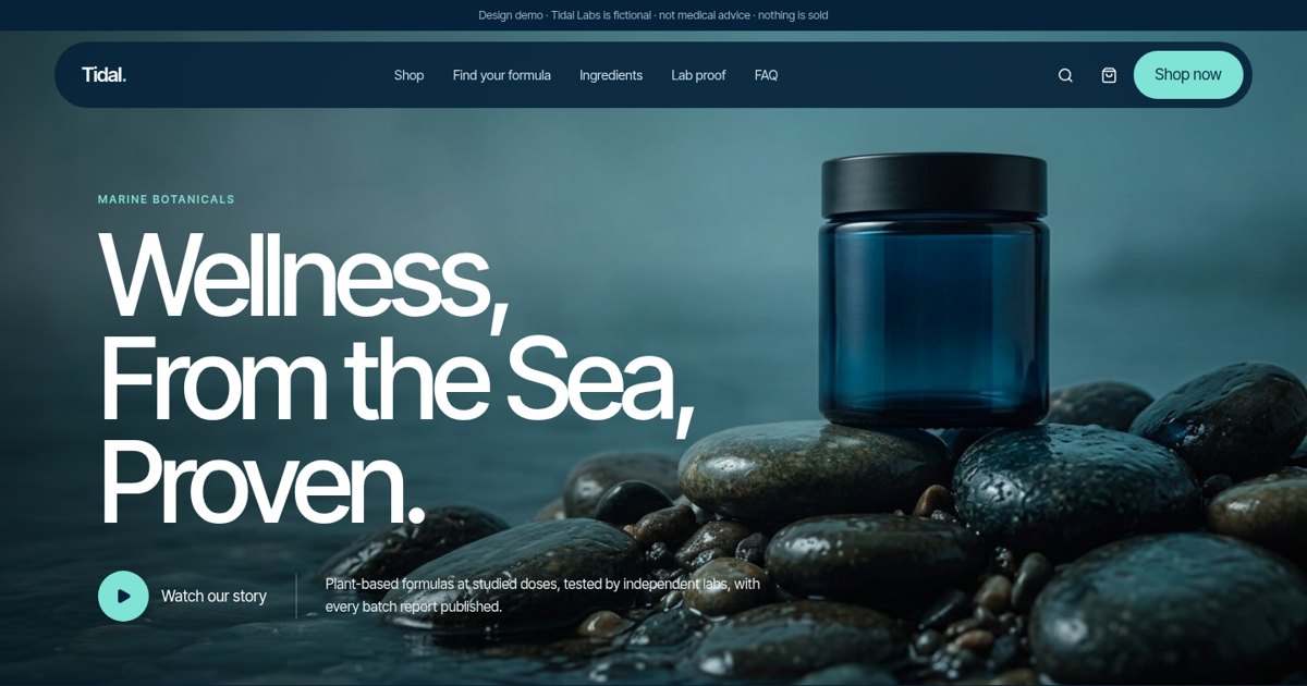 Tidal Labs, premium store demo built by Dan